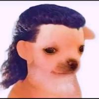 Change your avatar