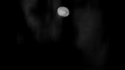 q lazzarus goodbye horses