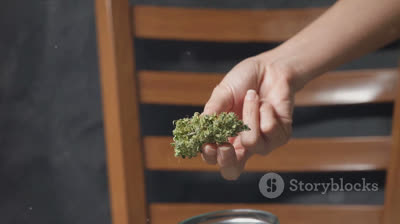 Rebirth CBD Gummies: Transform Your Health Naturally