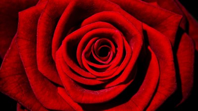 THIS CHAPTER HAS COME TO EN END FINALLY.