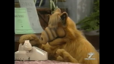 Alf - 3x19 - Il ricattatore