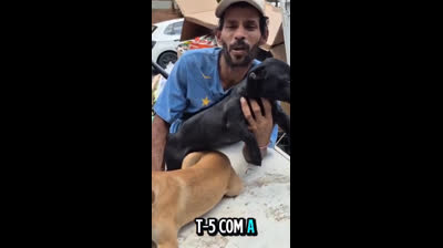 caes lindos pra adoçao