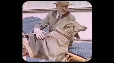 ¿ Alguien ha pensado  o se ha preguntado el porqué  Adolf está despertando tanta simpatía y admiración ?