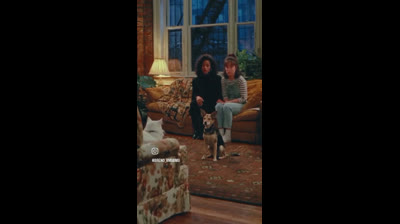 EU , A DONA E O GATO
