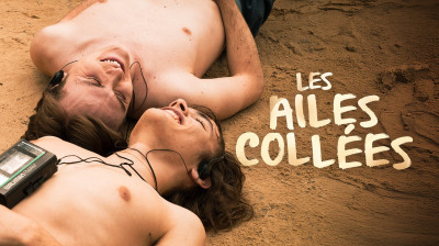 Les ailes collées 6- 2024 (Vf)