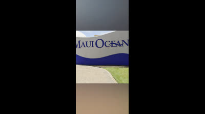 May 2026 visit to Maui Ocean Center