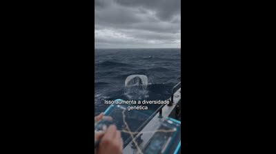 Ensinei um Sireno a Cortejar… e Agora Sou Sua - EP02