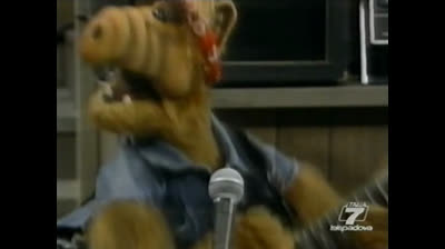 Alf - 4x01 - Alf baby-sitter