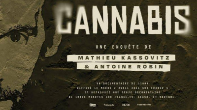 Documentaire - 10 épisodes - (3H38) -  Cannabis : une enquête de Mathieu Kassovitz et Antoine Robin - 2024 - (Vf)